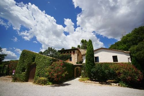 對直播和短視頻進(jìn)行簡單剖析，為大家講下直播和短視頻