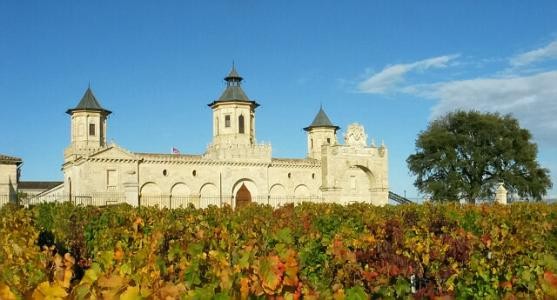 抖音一天發(fā)多少條作品合適