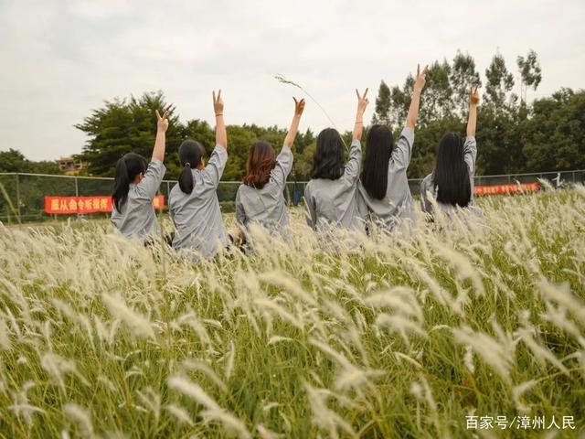 MCN機(jī)構(gòu)直播帶貨名單和聯(lián)系方式--靜醬文化 