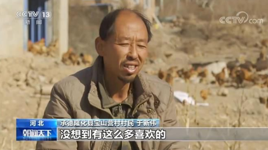 【直播帶貨】農(nóng)民大叔做直播兩年還債幾十萬