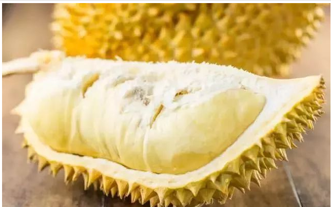 「金枕頭」榴蓮--由于氣味不太濃，是適合初嘗者的入門款