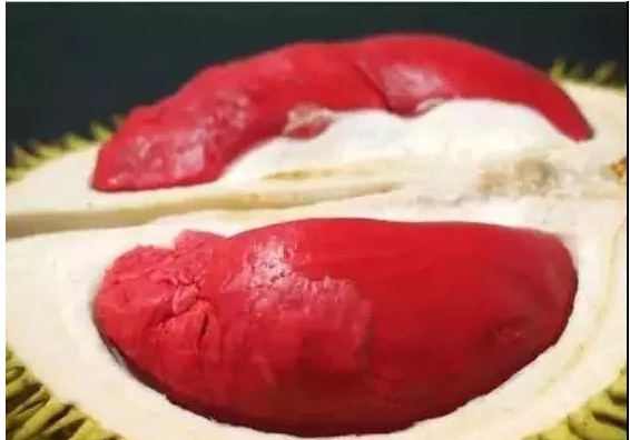 「紅肉」榴蓮--榴蓮肉個(gè)頭小，是馬來(lái)西亞主流的榴蓮品種