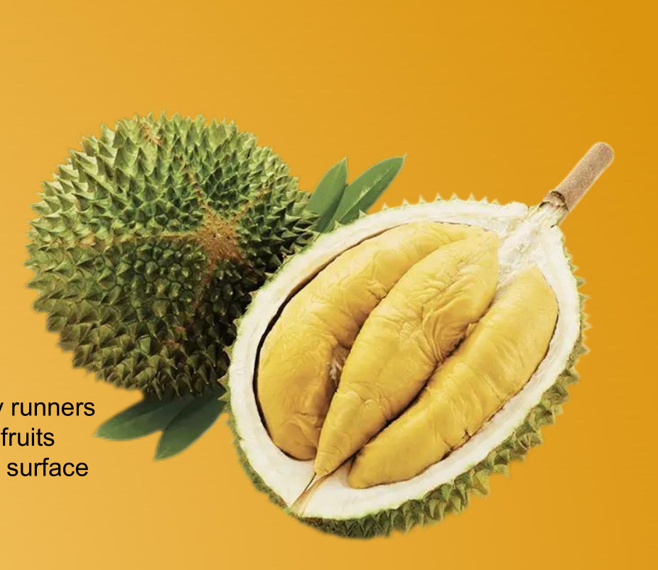 馬來西亞貓山王榴蓮俱樂部歡迎您成為“無庫存經(jīng)銷商”，以社交團(tuán)購的團(tuán)長身份自享省錢分銷賺錢！