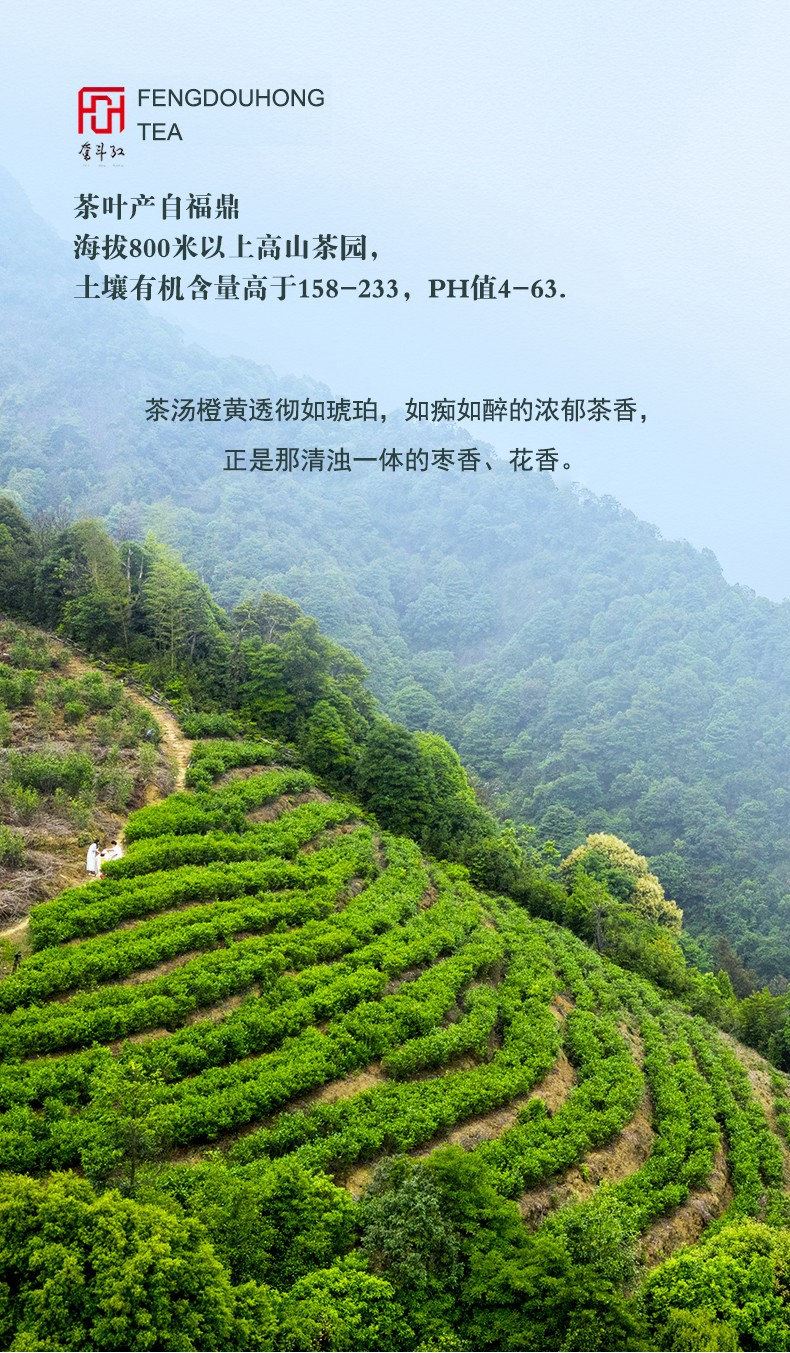 濟(jì)南市將以建設(shè)“新媒體之都”、打造中國(guó)（濟(jì)南）短視頻雙創(chuàng)基地