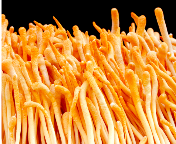 談?wù)勚辈ж浿卸兑糁辈ラg的互動(dòng)技巧