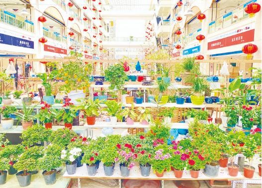 全國(guó)首家直播美妝供應(yīng)鏈基地落戶長(zhǎng)春