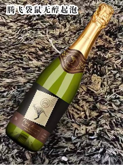 人物專訪--王惠娟：指點科技園短視頻孵化基地負責人