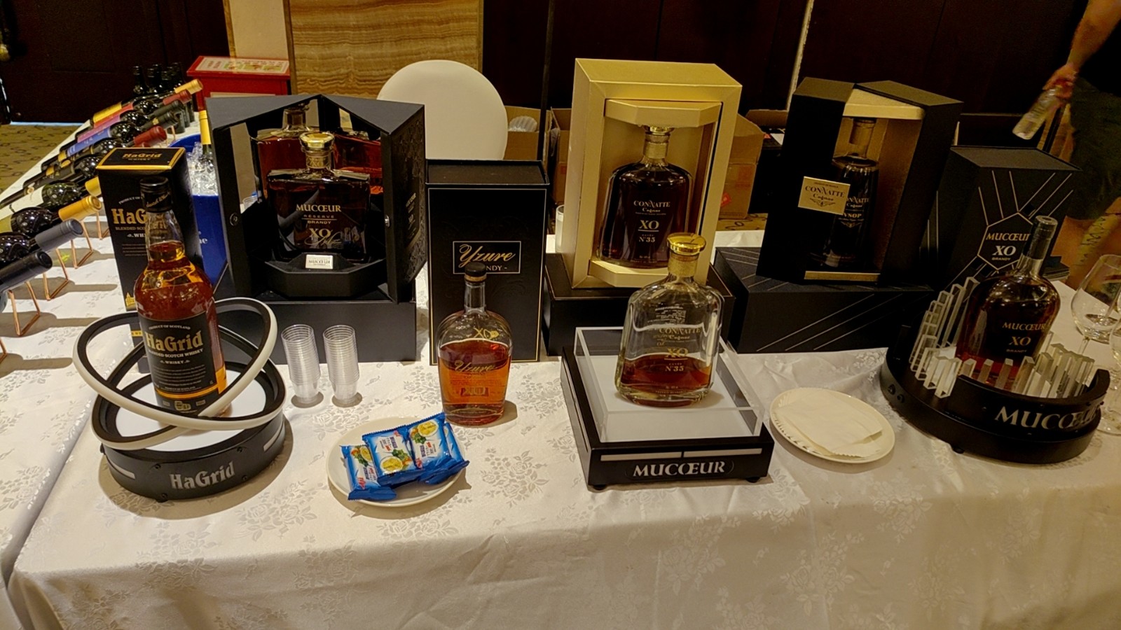 “貓一杯”的視頻 --她走到哪兒火哪兒，抖音、B站、小紅書、視頻號......各大平臺通吃