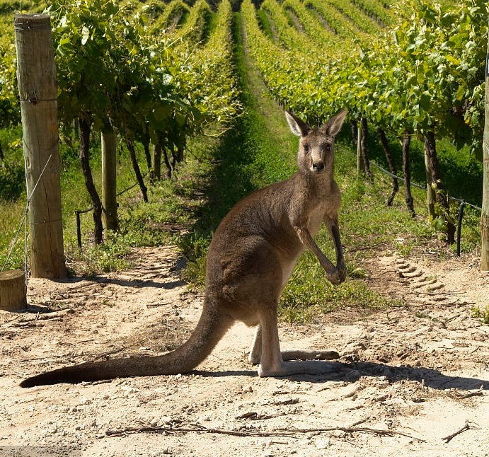 開(kāi)網(wǎng)店做一件代發(fā)的優(yōu)勢(shì)