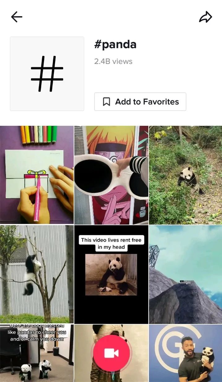 出海資訊TikTok賺錢攻略：推薦10個熱門類目，月入10萬刀沒問題！